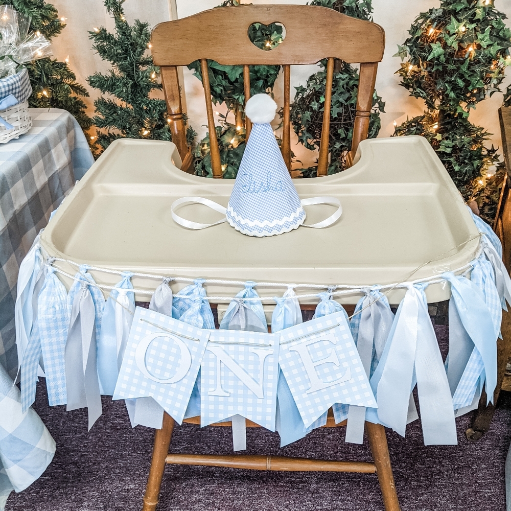 Blue Gingham & Peter Rabbit Party Supplies